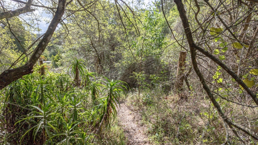 Commercial Property for Sale in Sedgefield Rural Western Cape